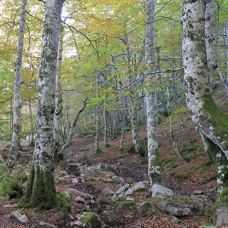 Balcon De La Len 乡村民宿