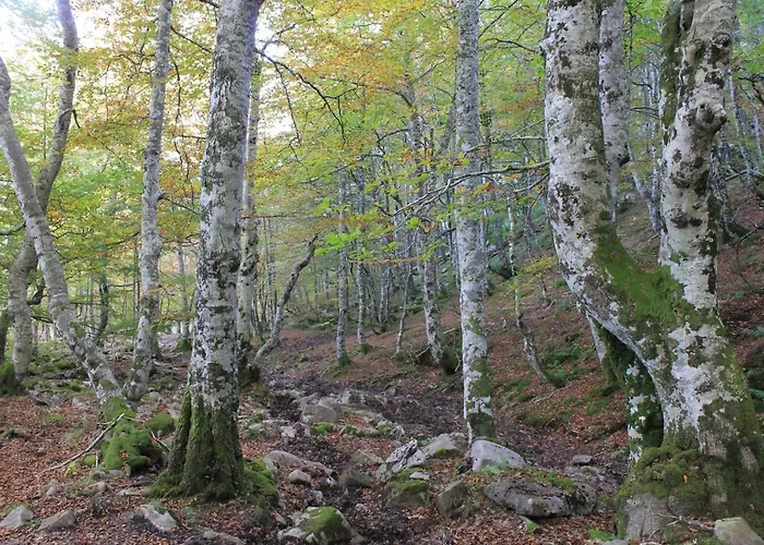 Balcon De La Len בית כפרי